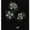Classeur5_Page_03-cropped