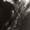 image10
