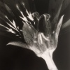 image11