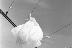 Dress Arles 2005