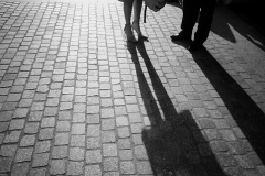 Paris Shadows