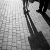 1302244264_f5752a0a19_z