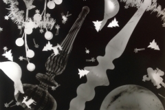 Photograms