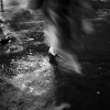 1301365107_a0b0d0ec12_z