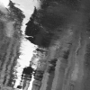 1303000283_f9cc8c7ac0_z