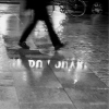 1303780762_058c4ac9d4_z